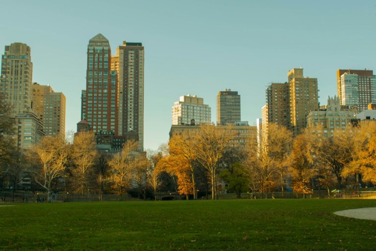 Park lawn with New York buildings in the background