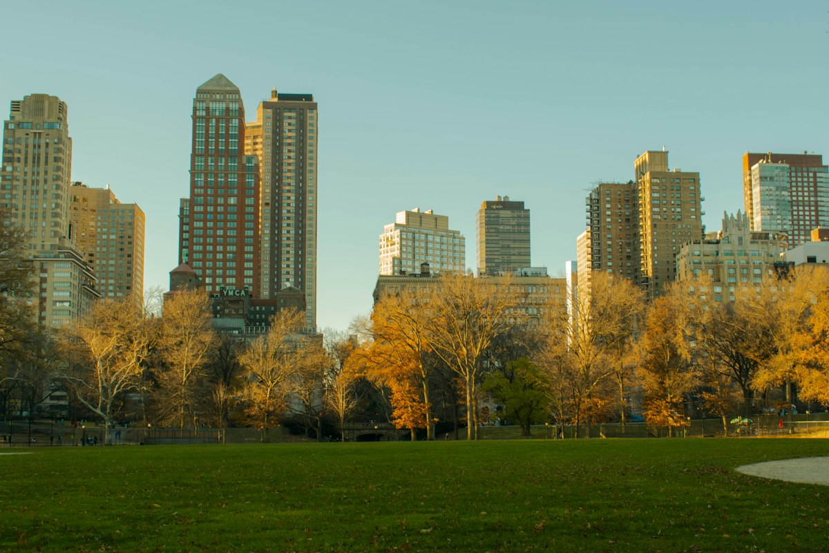 Park lawn with New York buildings in the background