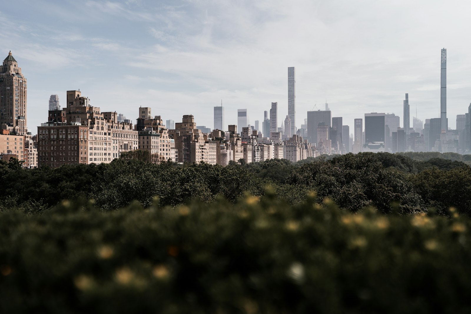 Central Park trees with the Manhattan skyline behind